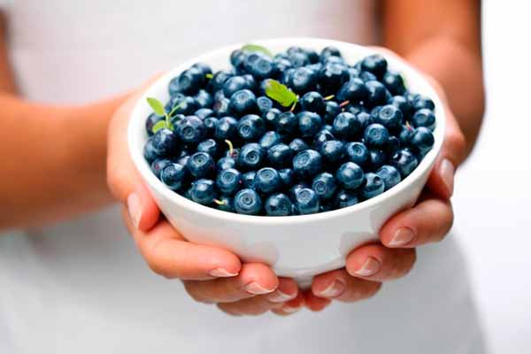 En daglig kop blåbær kan sænke blodtrykket hos kvinder i overgangsalderen.