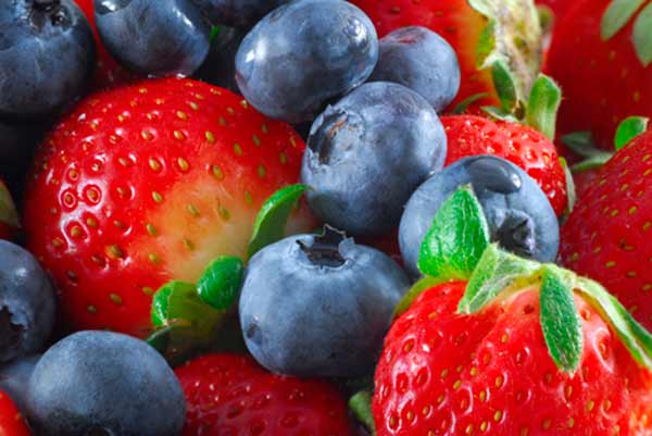 Polyfenoler i blåbær og jordbær forhindrer tilsyneladende at fed mad  gør os fede.