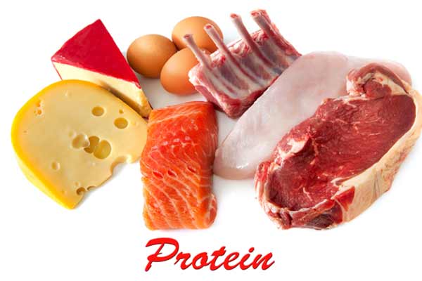 Animalske proteiner viste sig i den nye undersøgelse at medføre mindre stive arterier, mens proteiner fra planter reducerede blodtrykket.
