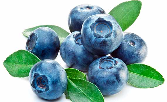 I modsætning til lykkepiller ser blåbær ikke ud til at påvirke neurotransmitteren noradrenalin negativt.