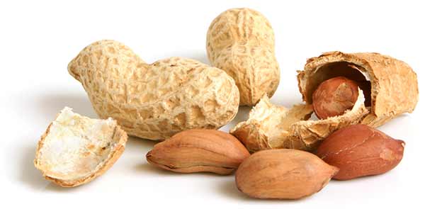 Peanuts forbedrer fedtprofilen og sikrer blodårernes smidighed efter et fedtrigt måltid.